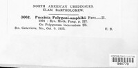Puccinia polygoni-amphibii image